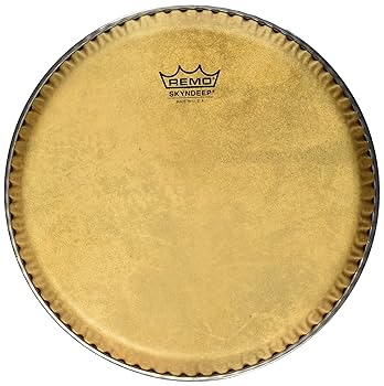 Amazon.com: Remo Symmetry Skyndeep Conga Drumhead - Calfskin